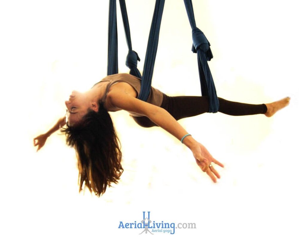 Aerial Yoga Swing (hammock) with handles - Image 17