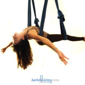 Amaca di Yoga Aereo "Antigravity" con maniglie fisse - Image 26