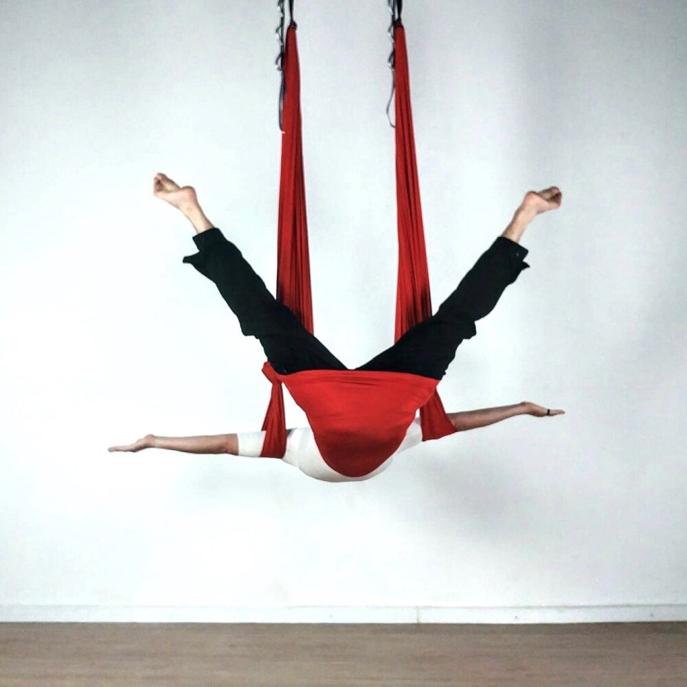 Columpio de Yoga Aéreo con asas - Image 18